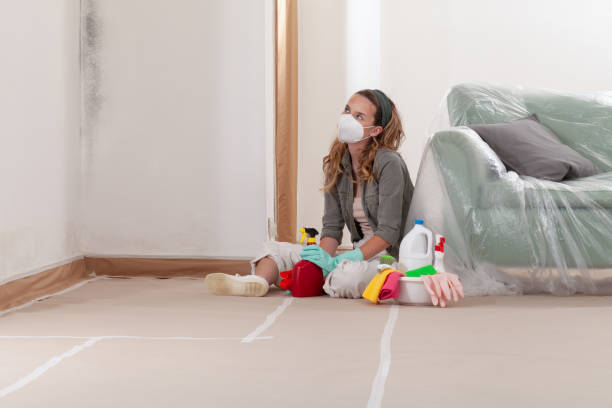 Reliable Mold Testing contractor in Olivia, MN by WQB Mold Removal